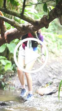 BIB:  <button type="button" onclick="openModal(27824256)" class="btn btn-primary btn-sm float-right" data-toggle="modal" data-target=".modal-high-quality">
                <i class="fa fa-download"></i> Download
                </button>